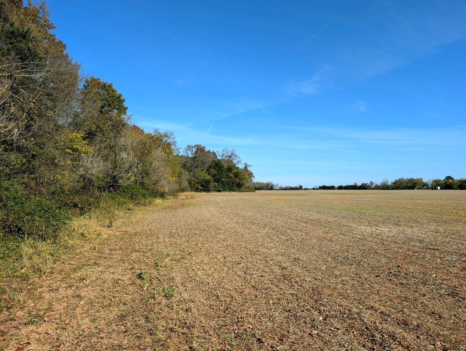 Image for 54.35 +/- Acres Of Land Near Bealeton VA