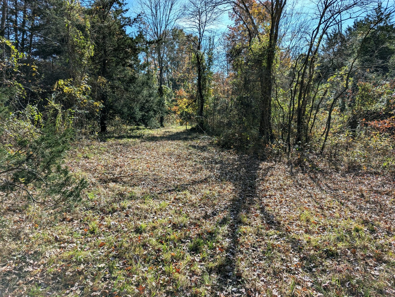 Image for 54.35 +/- Acres Of Land Near Bealeton VA