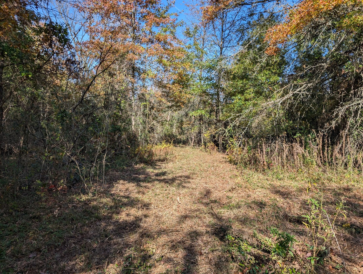 Image for 54.35 +/- Acres Of Land Near Bealeton VA