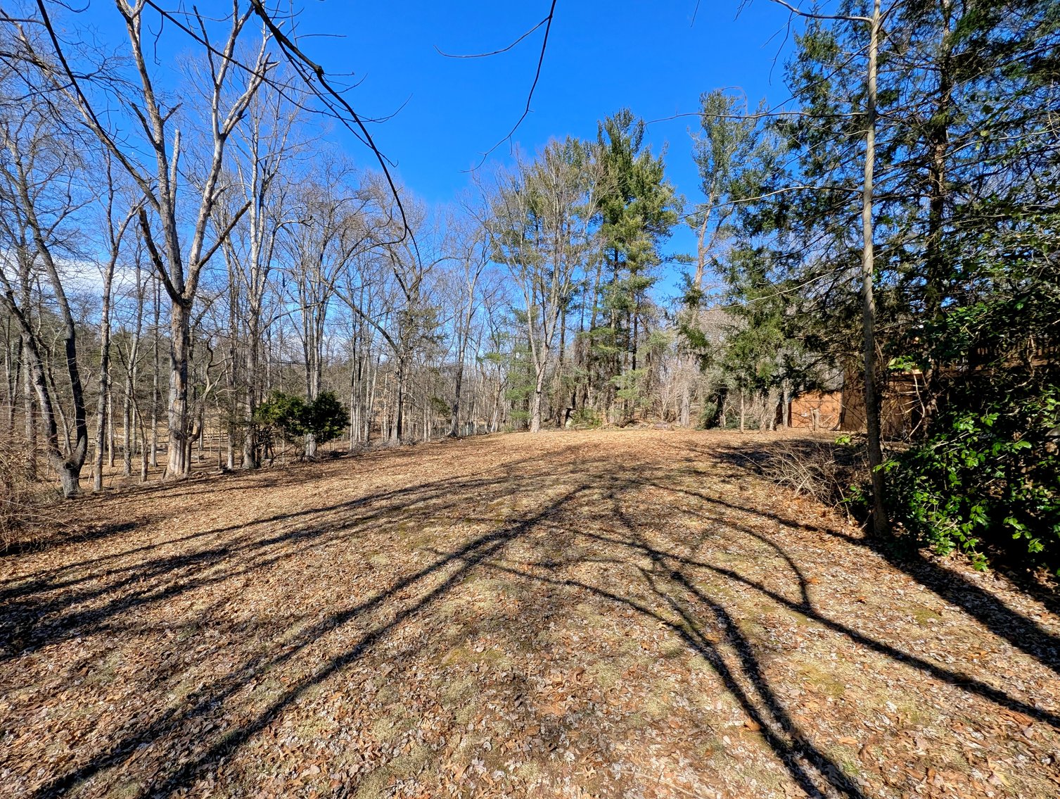 Image for 3 Bedroom Home On 1.6 +/- Acres In Haymarket VA