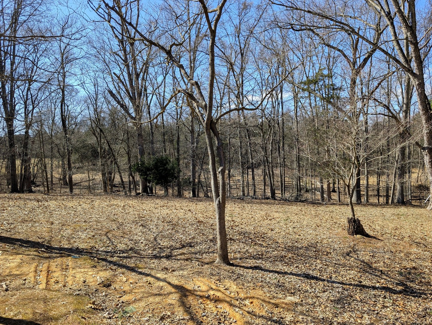 Image for 3 Bedroom Home On 1.6 +/- Acres In Haymarket VA