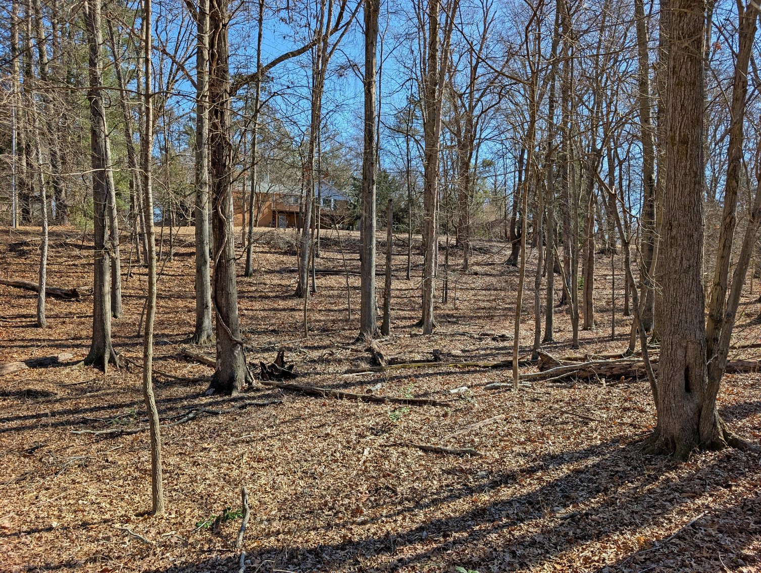 Image for 3 Bedroom Home On 1.6 +/- Acres In Haymarket VA