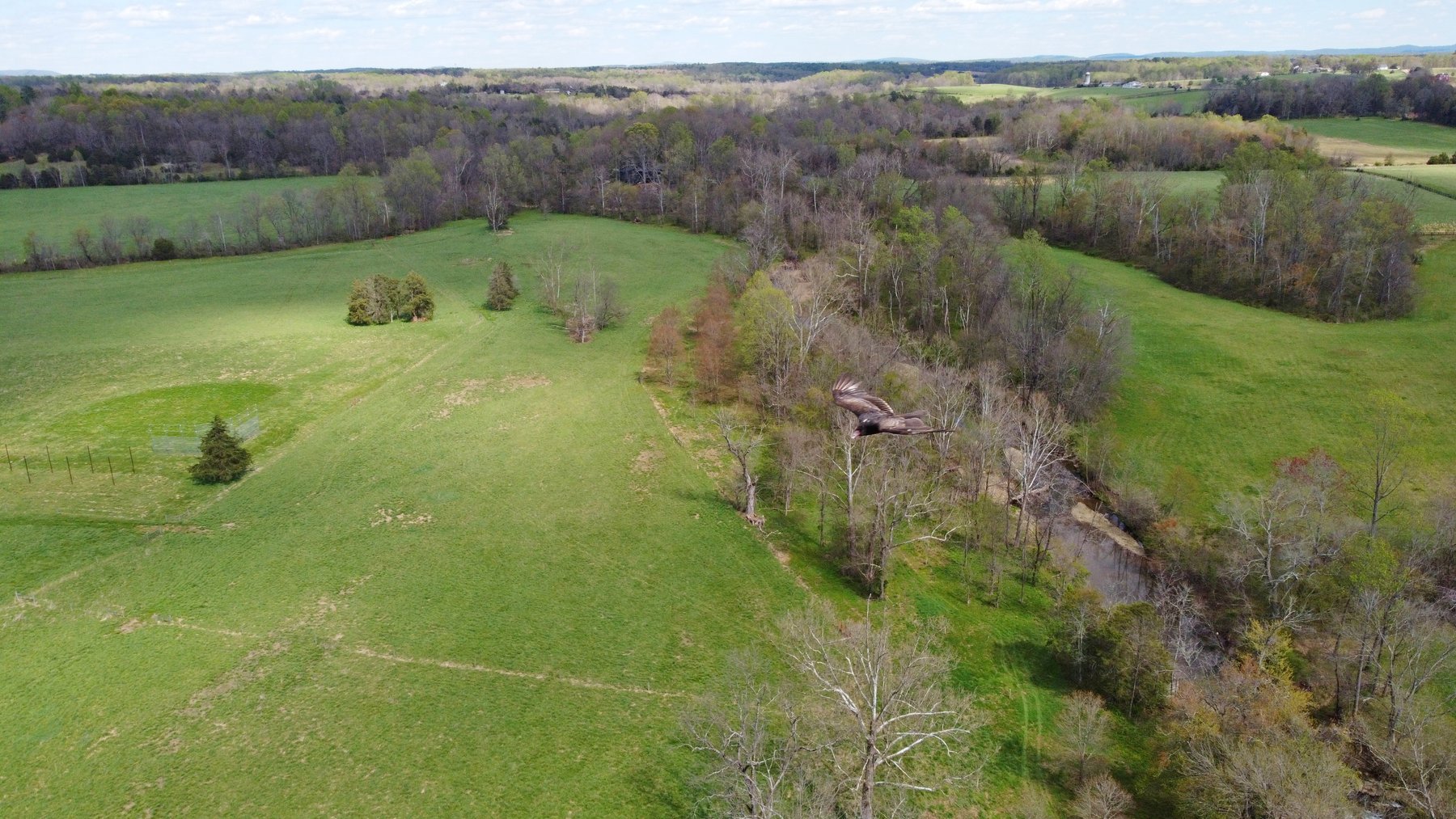 Image for Slate Mill Farm - 78.8 Acres with 6,000 Sq Ft Home Near Stanardsville VA