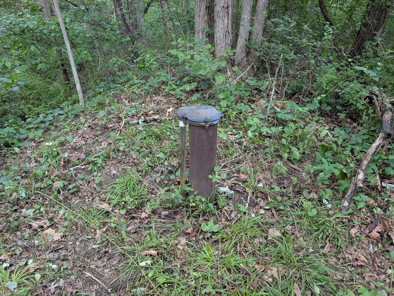 Image for 3 Bedroom Home in McGaheysville VA