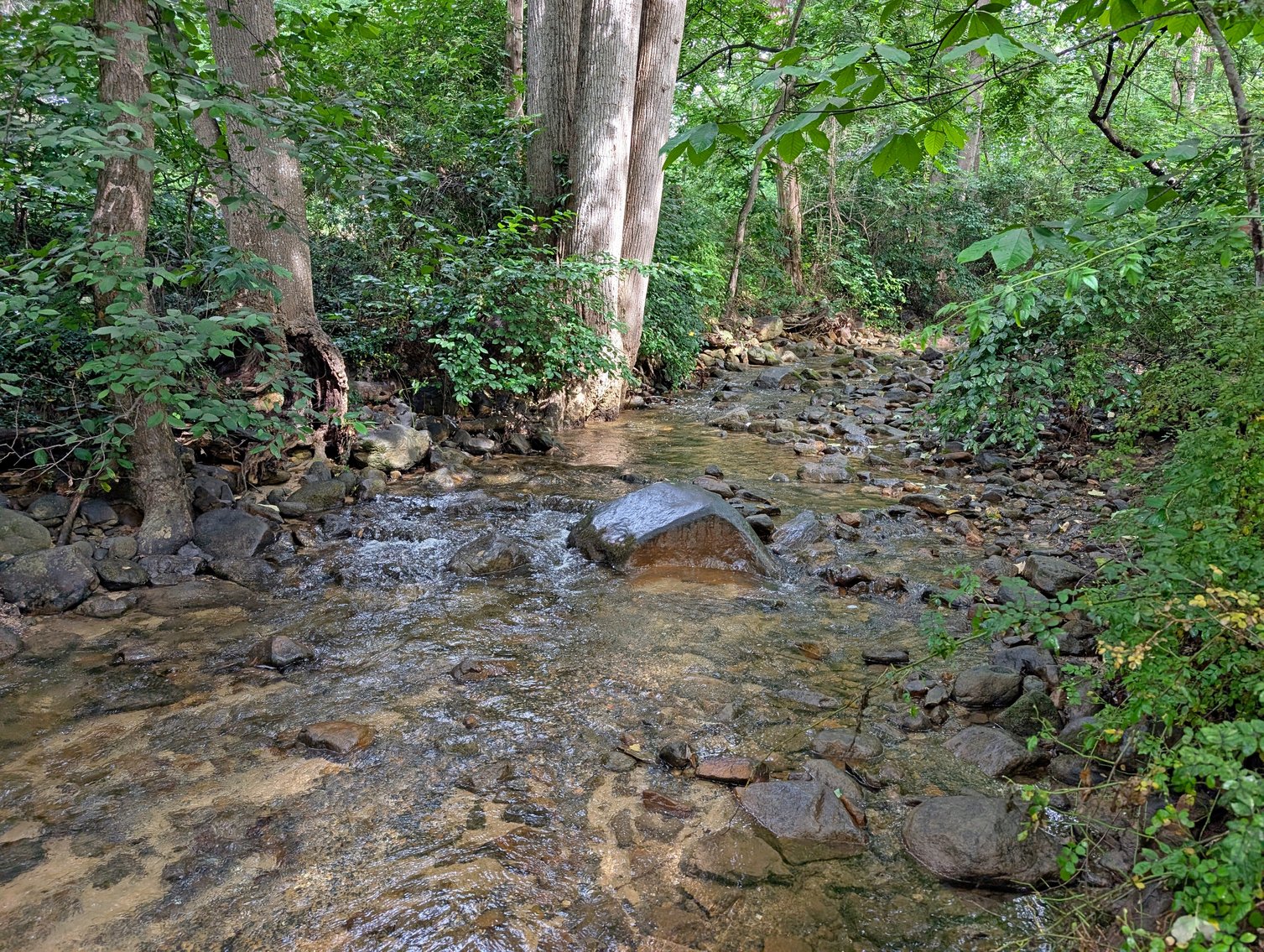 Image for 3 Bedroom Home in McGaheysville VA