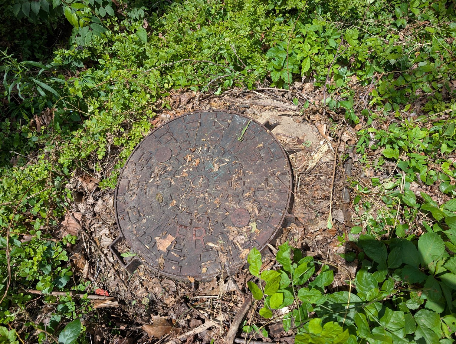 Image for 3 Bedroom Home in McGaheysville VA