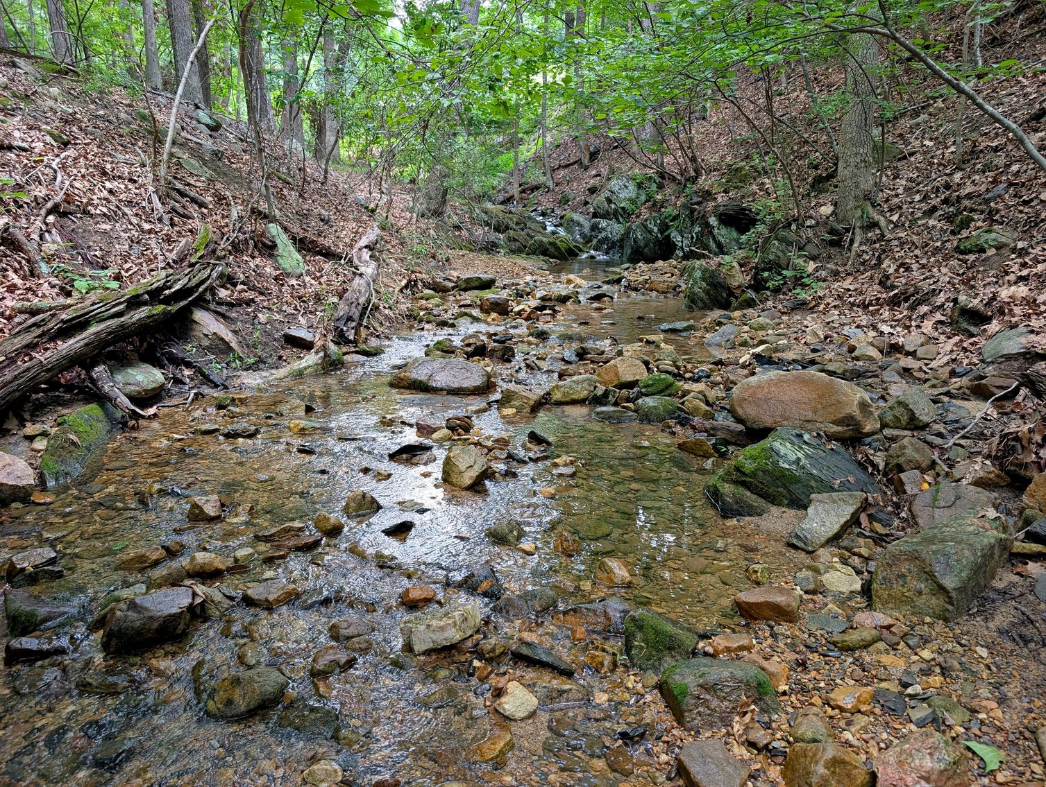 Image for Two Building Lots At Massanutten