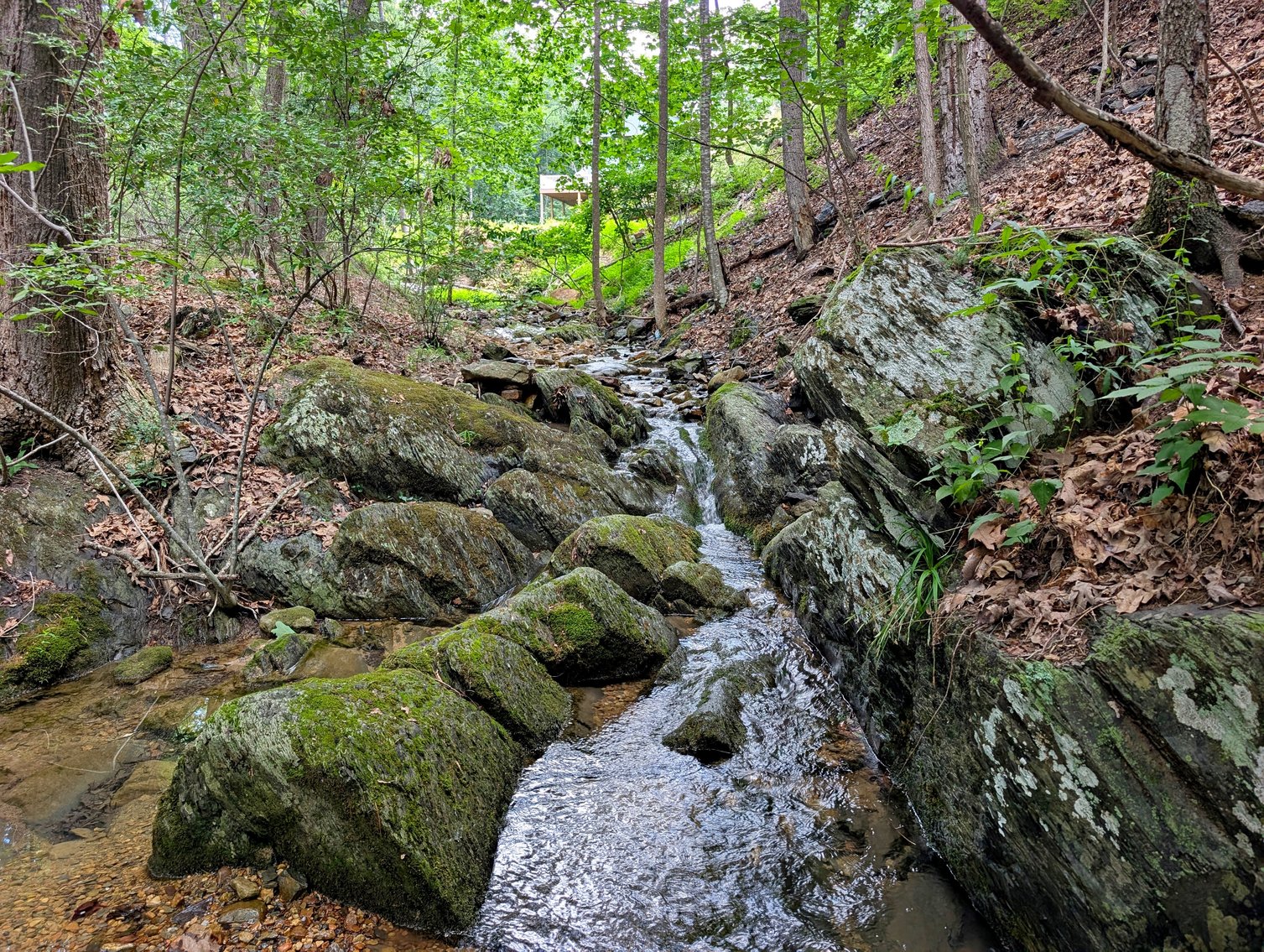 Image for Two Building Lots At Massanutten