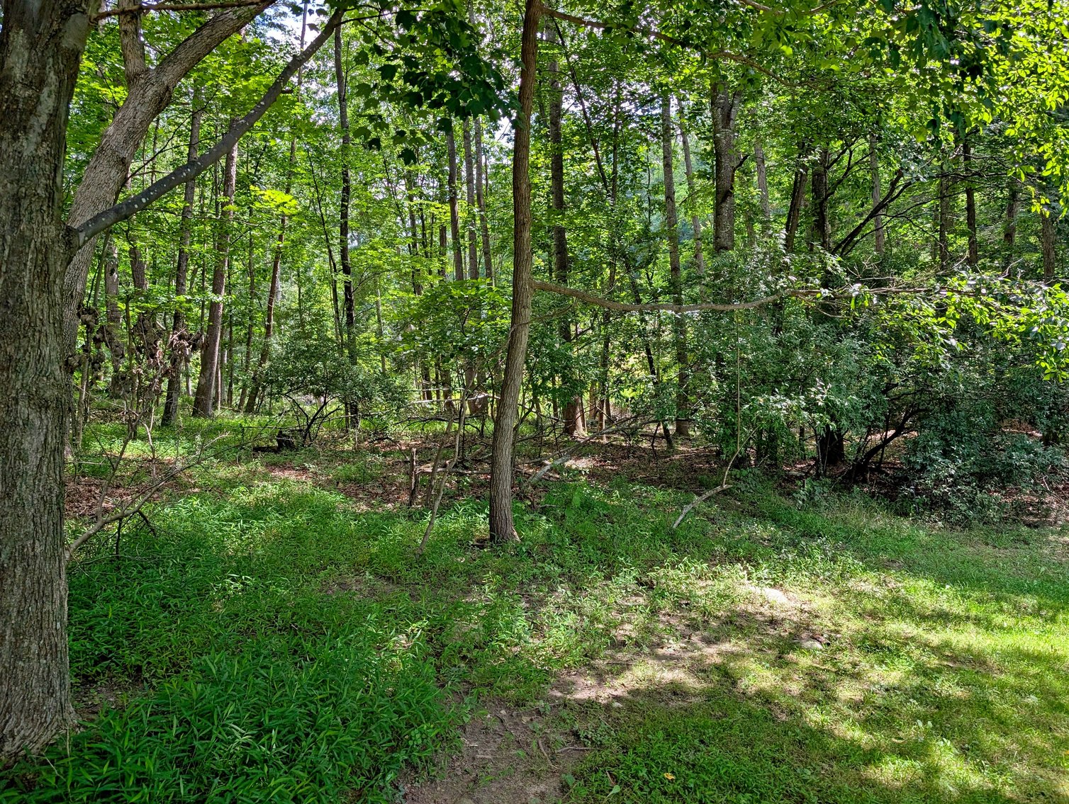 Image for Two Building Lots At Massanutten