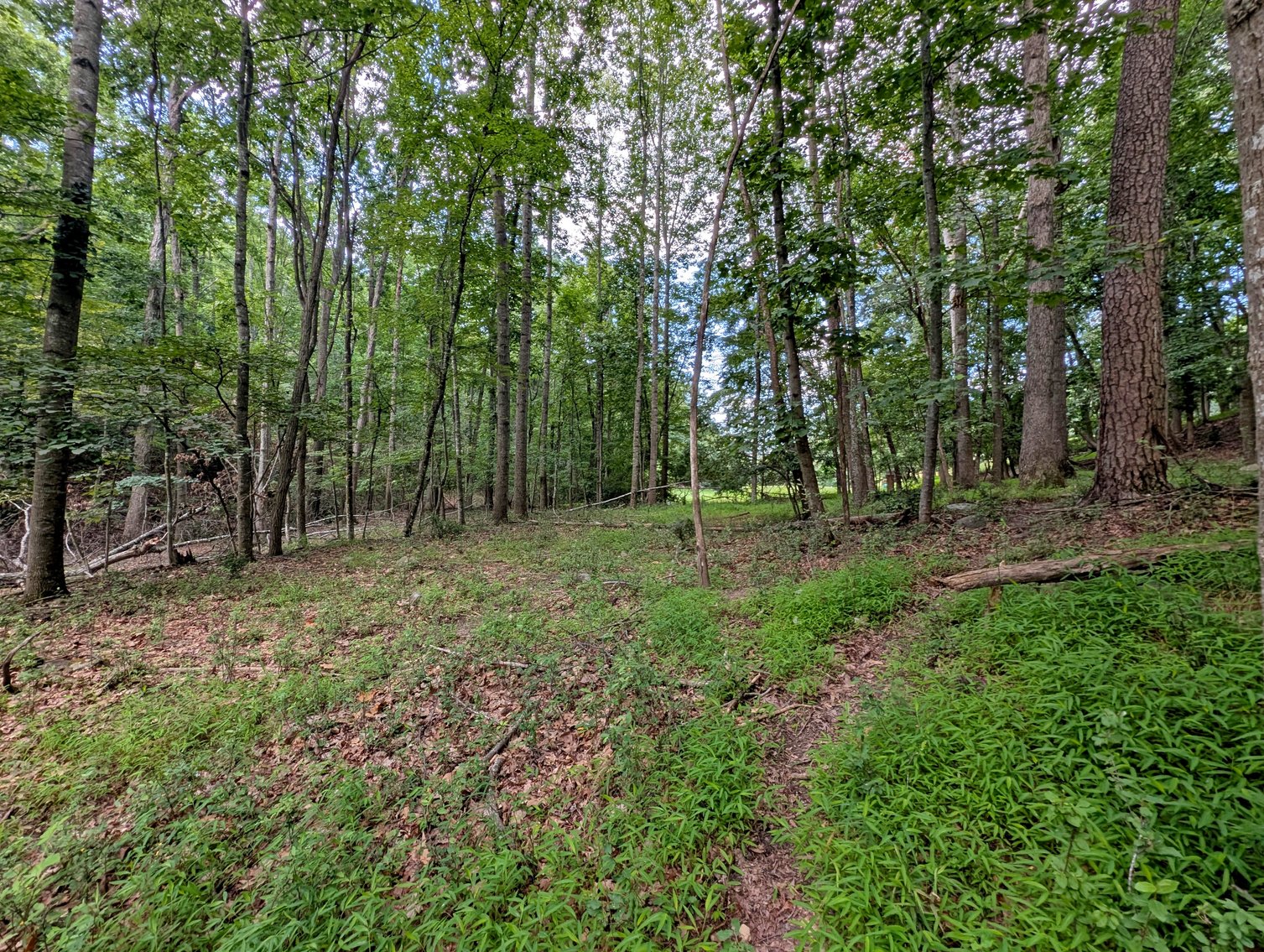 Image for Two Building Lots At Massanutten