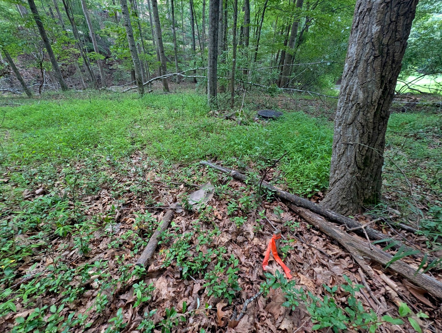 Image for Two Building Lots At Massanutten