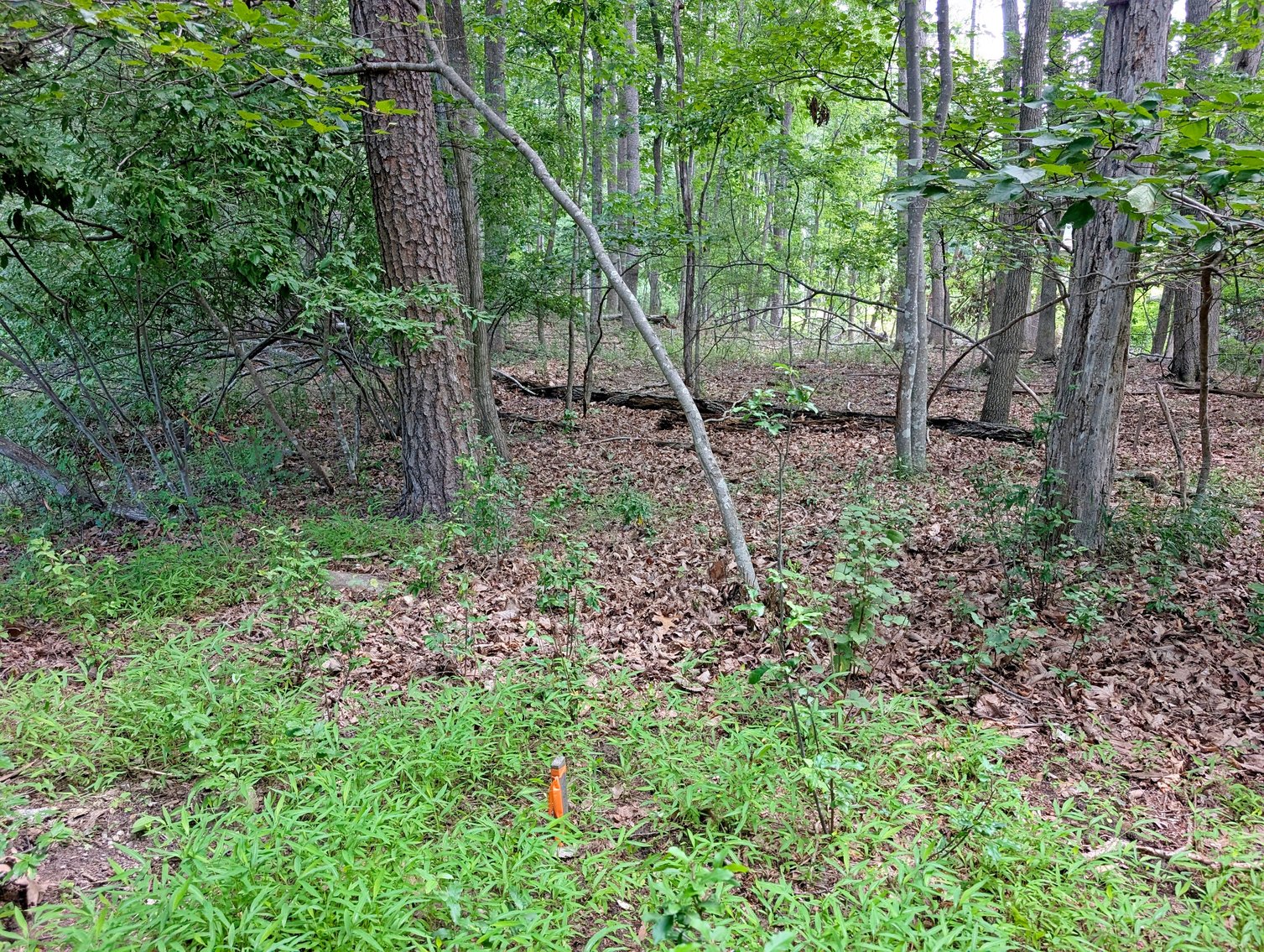 Image for Two Building Lots At Massanutten