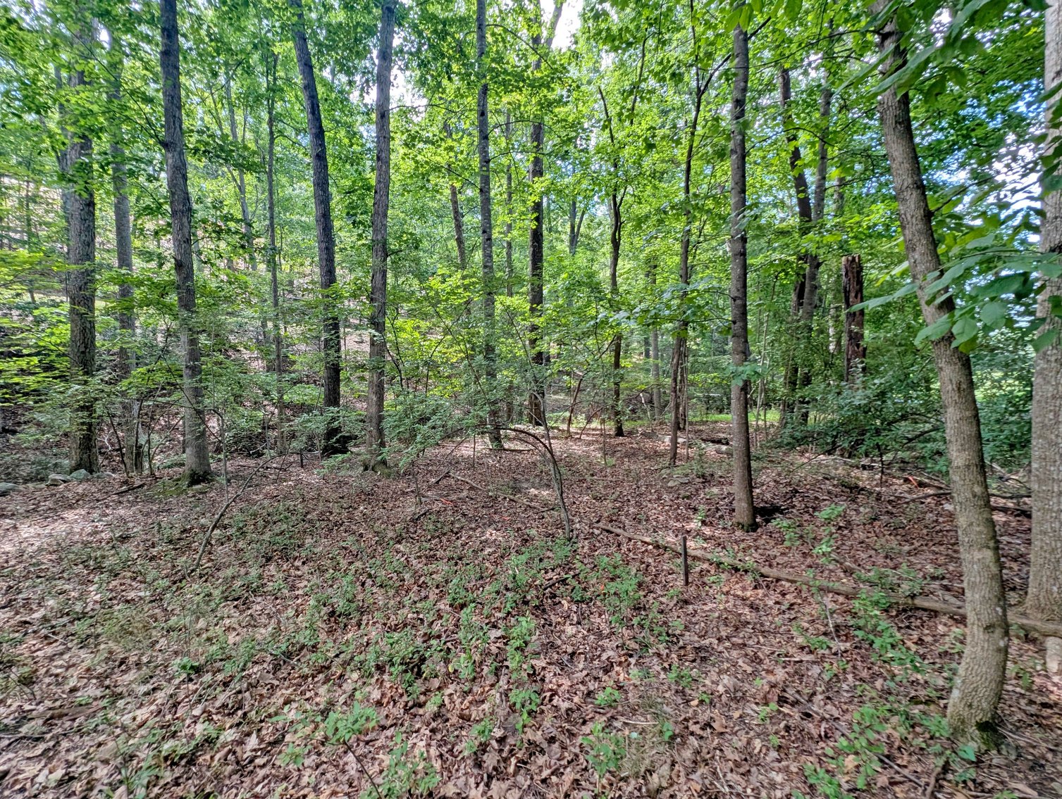 Image for Two Building Lots At Massanutten