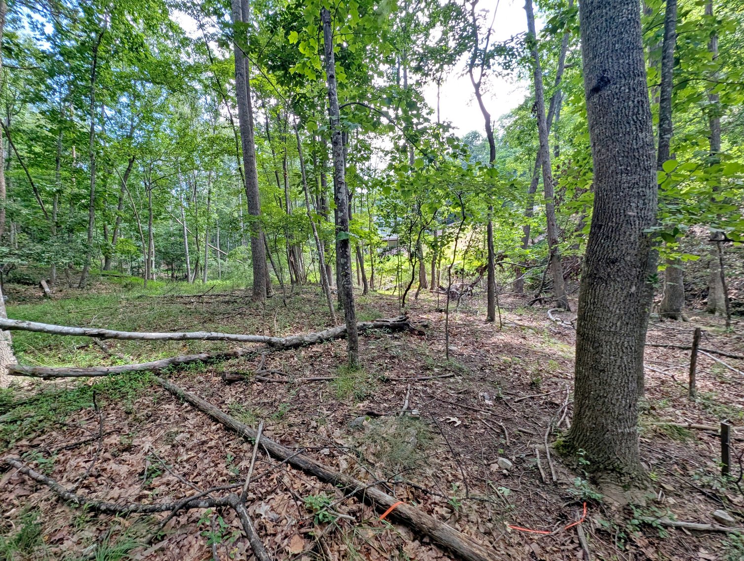 Image for Two Building Lots At Massanutten