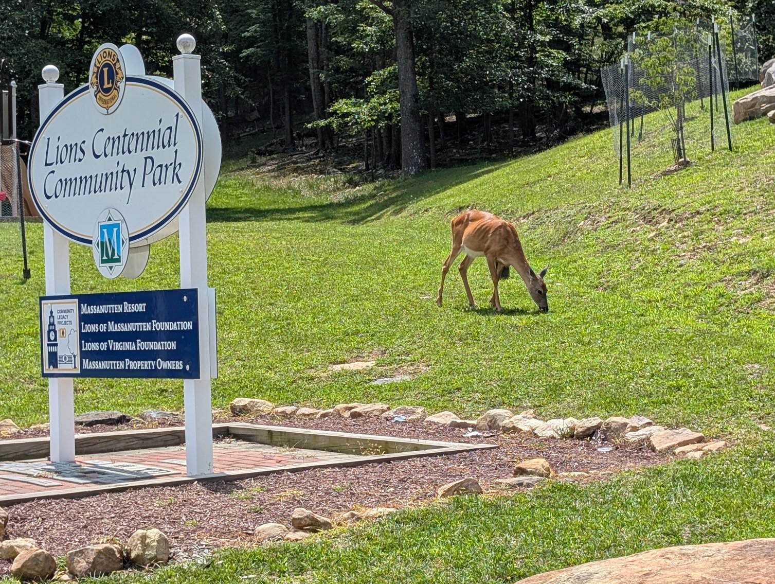 Image for Two Building Lots At Massanutten