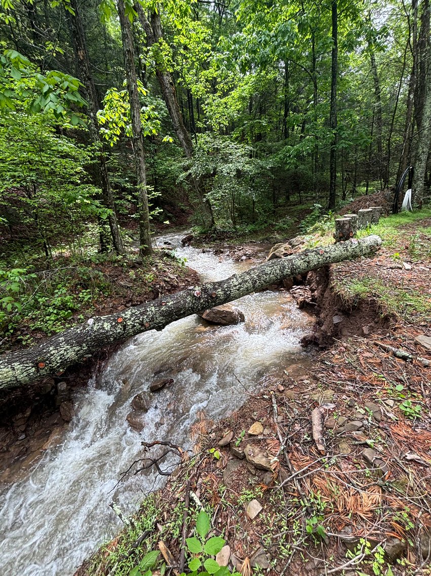 Image for Cabin On 60 Acres Near Criders VA