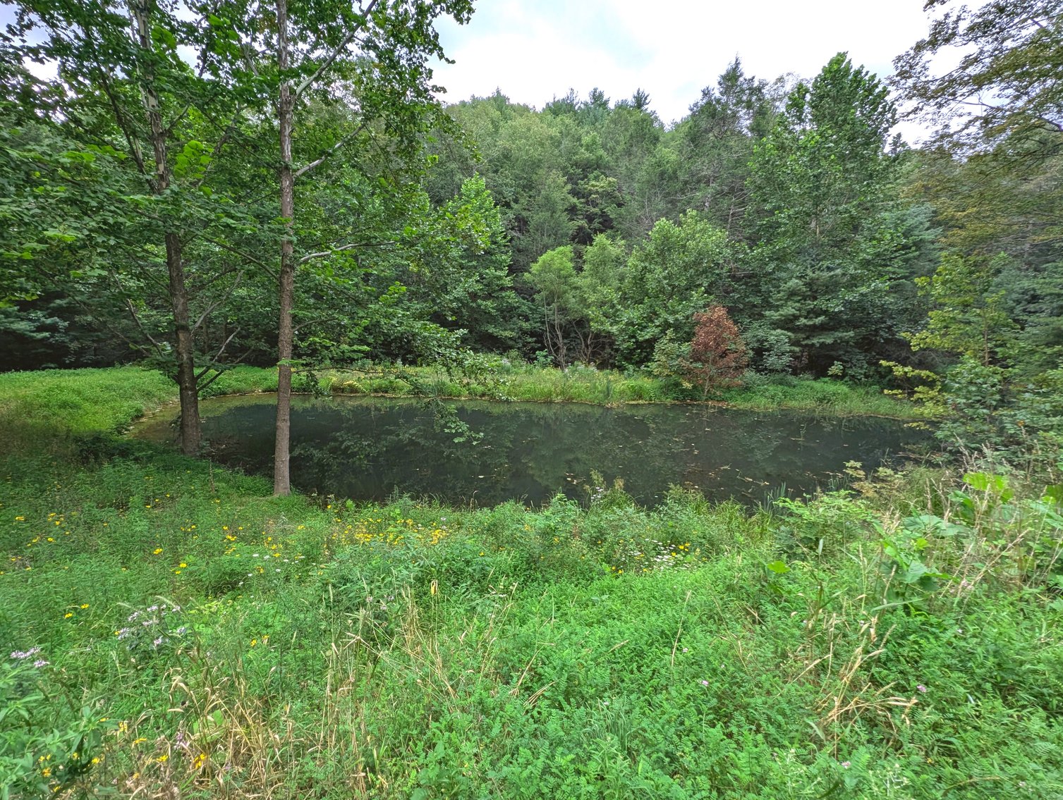 Image for Cabin On 60 Acres Near Criders VA