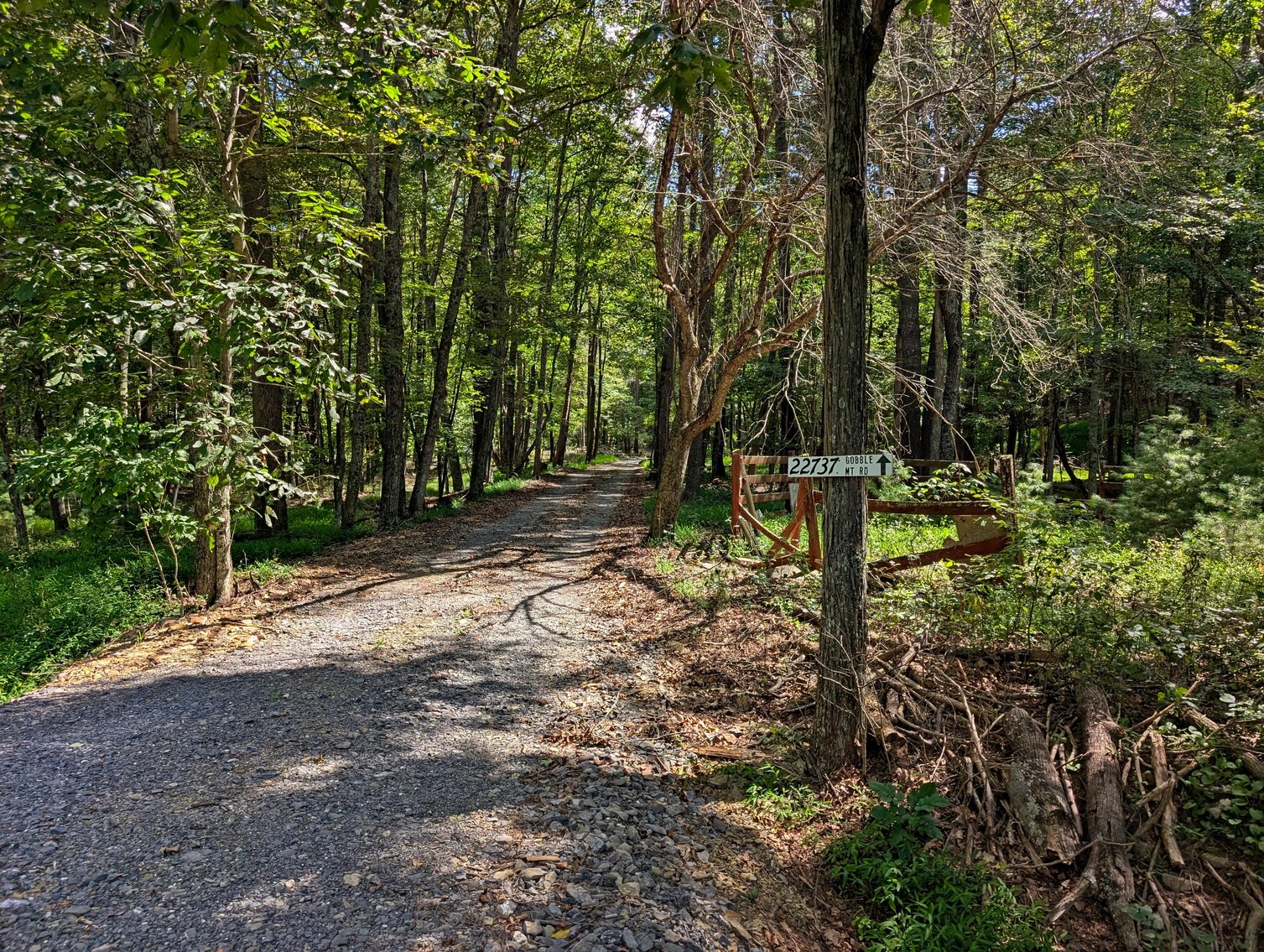 Image for Cabin On 60 Acres Near Criders VA
