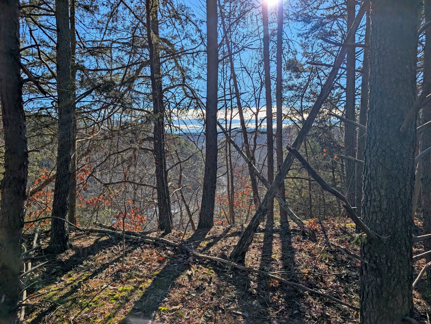 Image for 8.4 +/- Acres Near Winchester VA