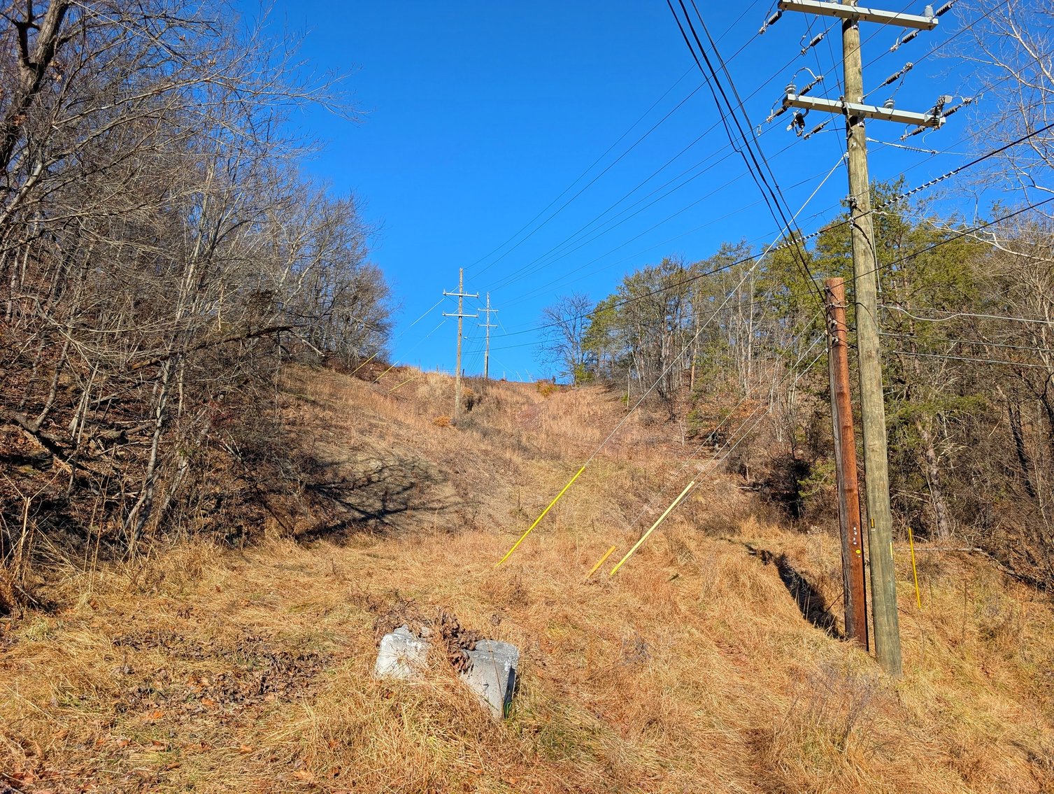 Image for 8.4 +/- Acres Near Winchester VA