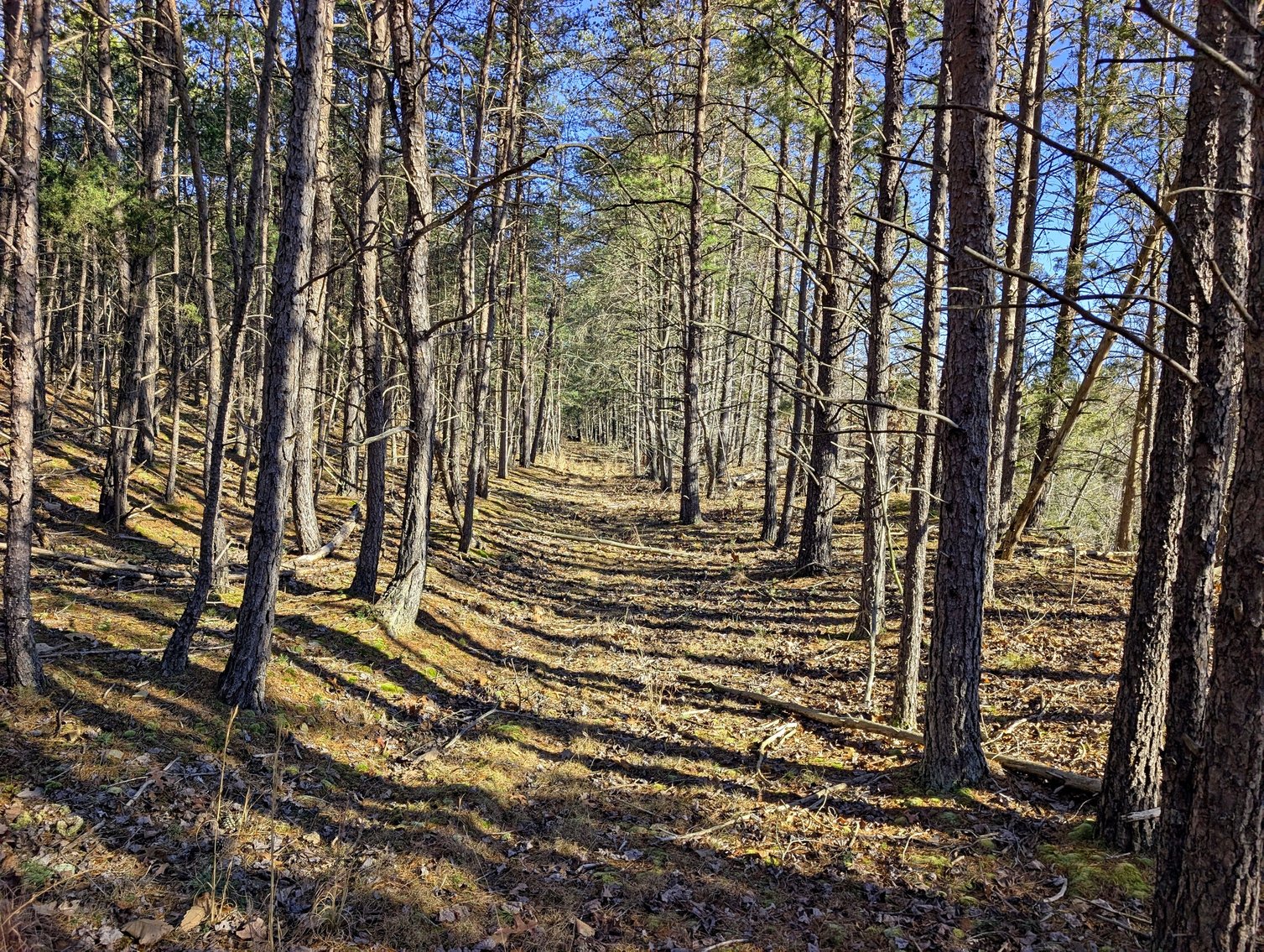 Image for 8.4 +/- Acres Near Winchester VA