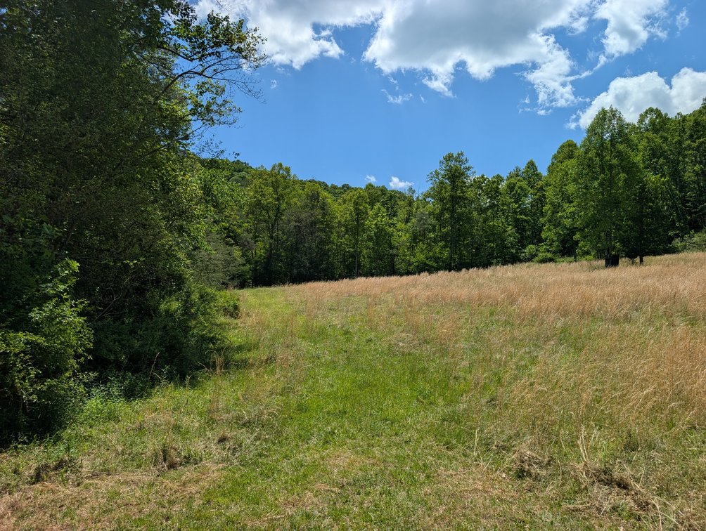 Image for 115 +/- Acre Estate In Mercer County WV