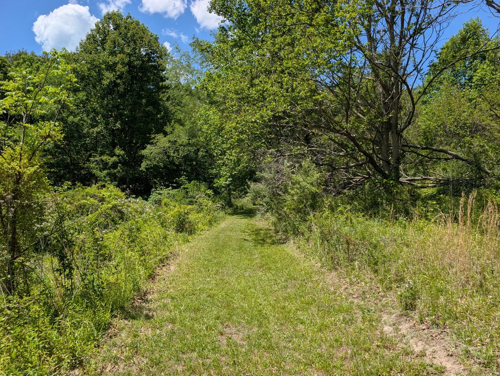 Image for 115 +/- Acre Estate In Mercer County WV
