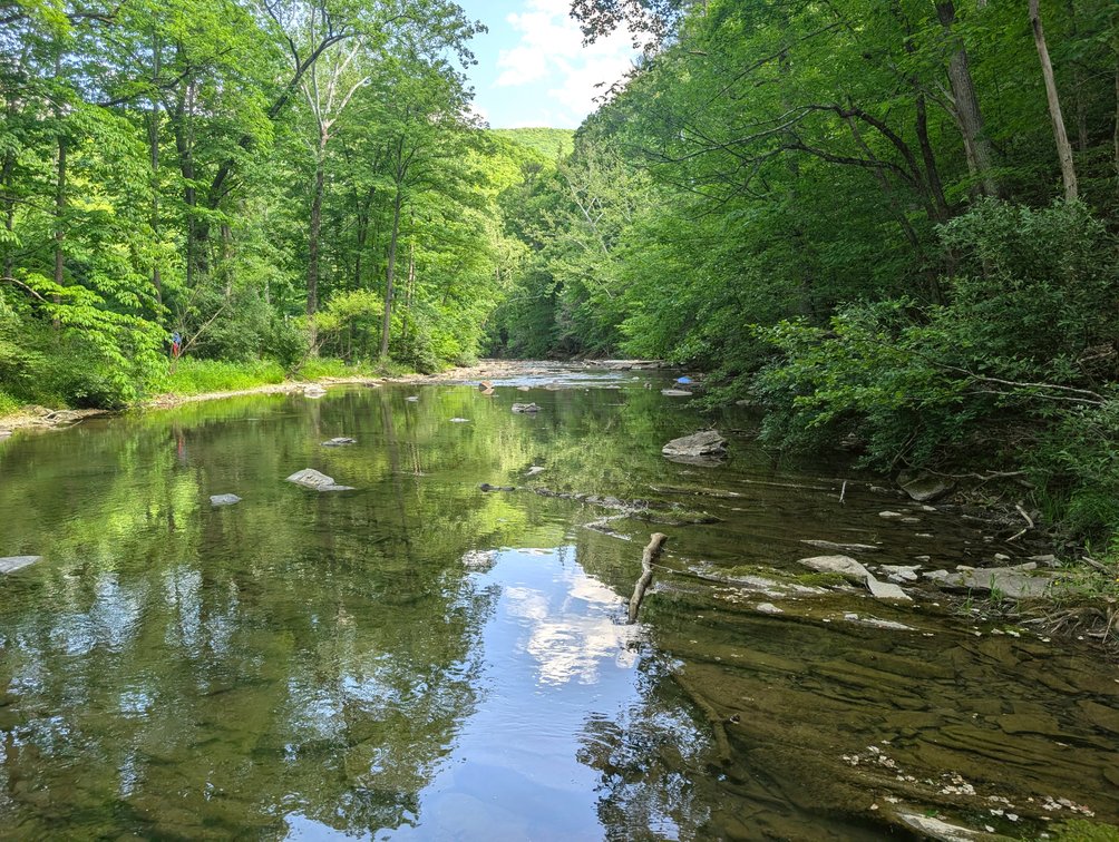 Image for 115 +/- Acre Estate In Mercer County WV