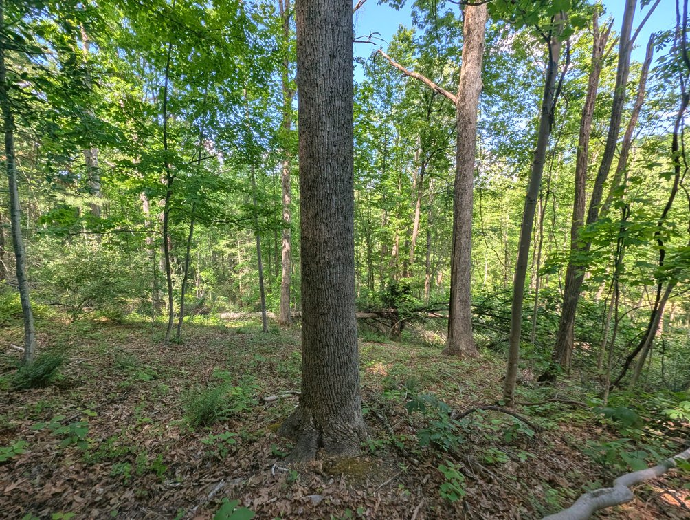 Image for 115 +/- Acre Estate In Mercer County WV