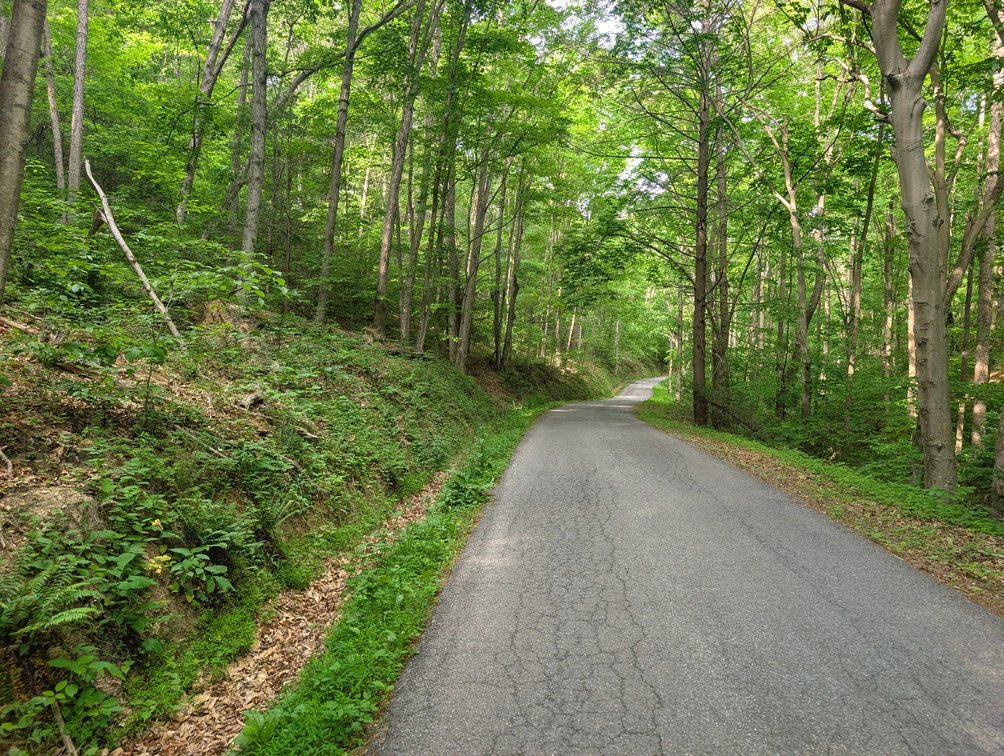 Image for 115 +/- Acre Estate In Mercer County WV