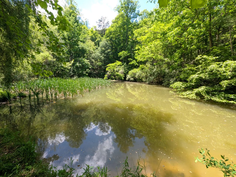 Image for 115 +/- Acre Estate In Mercer County WV