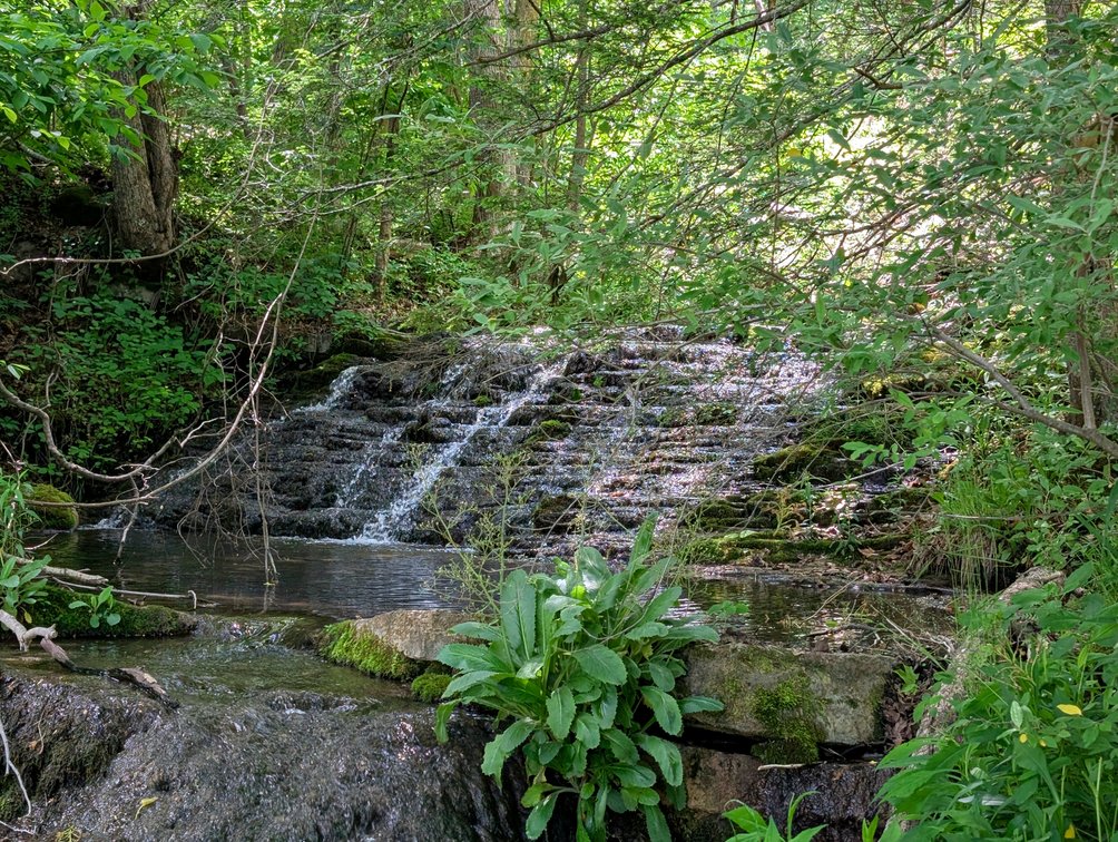 Image for 115 +/- Acre Estate In Mercer County WV