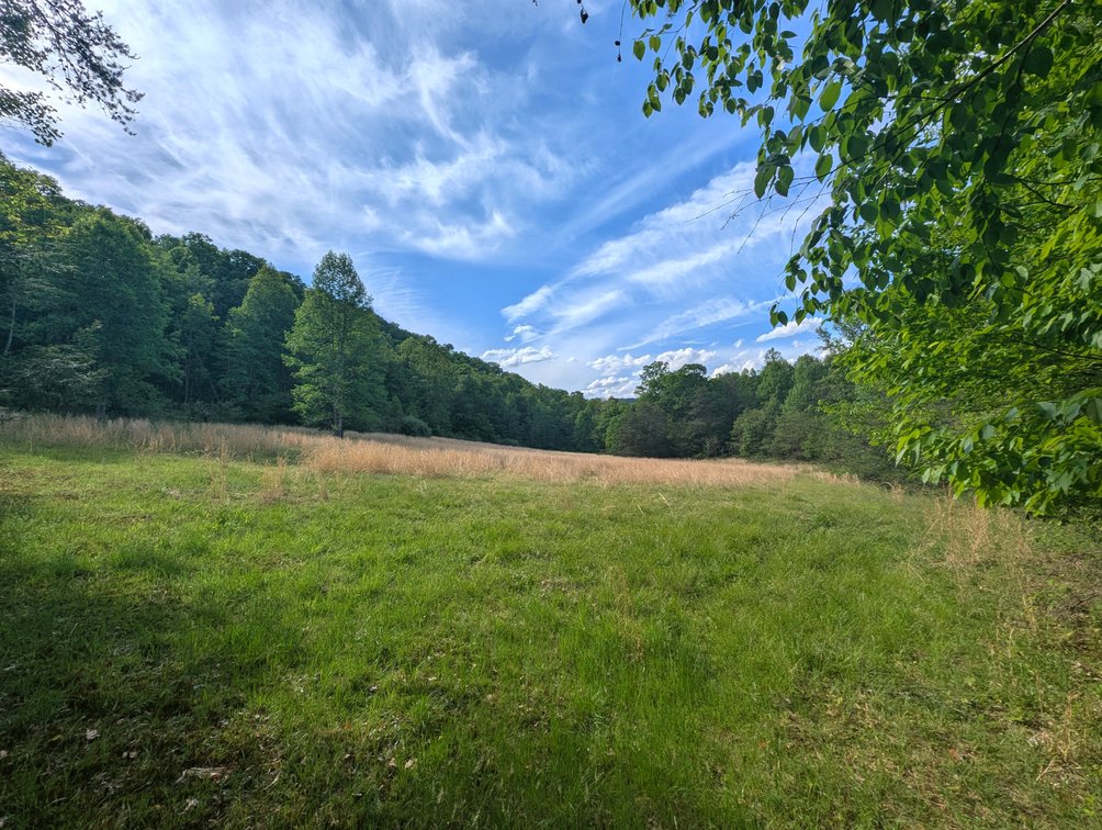 Image for 115 +/- Acre Estate In Mercer County WV