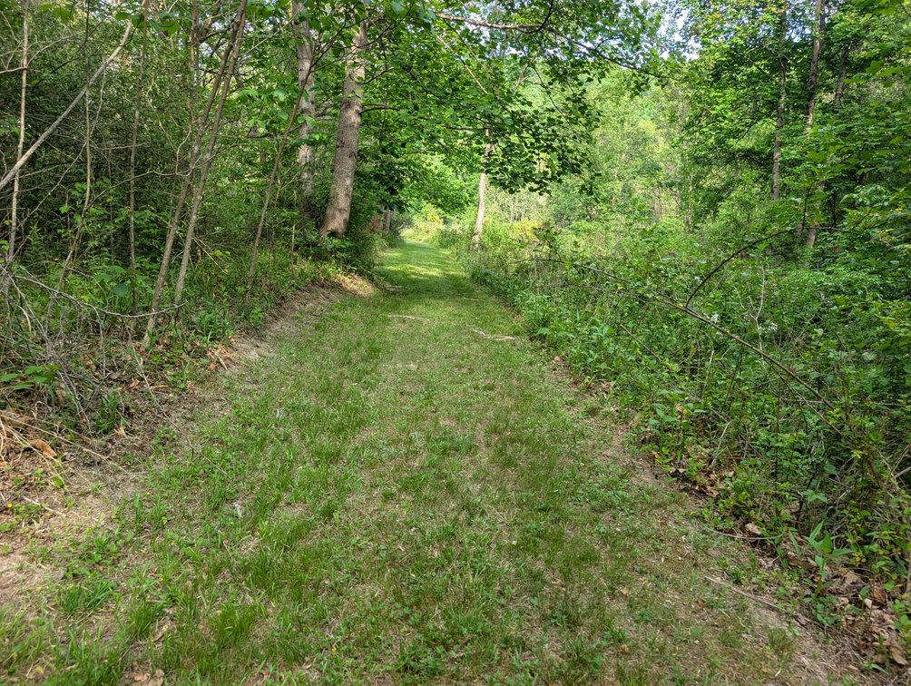Image for 115 +/- Acre Estate In Mercer County WV