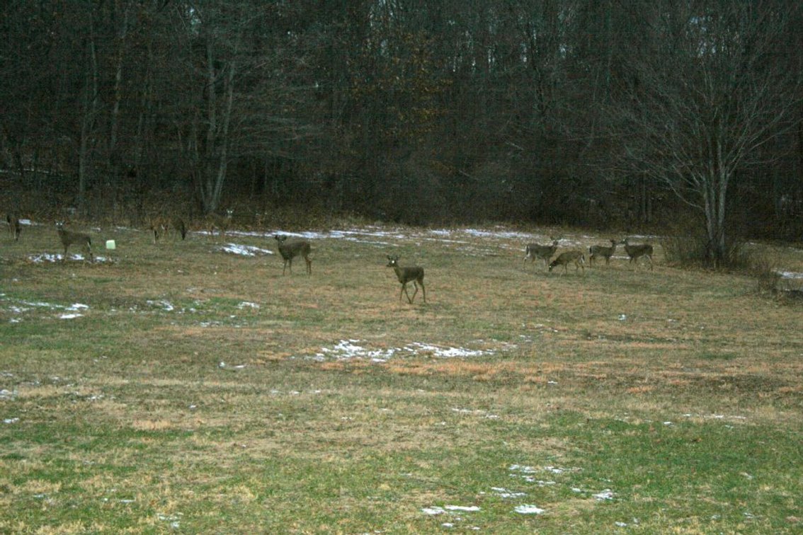 Image for 115 +/- Acre Estate In Mercer County WV
