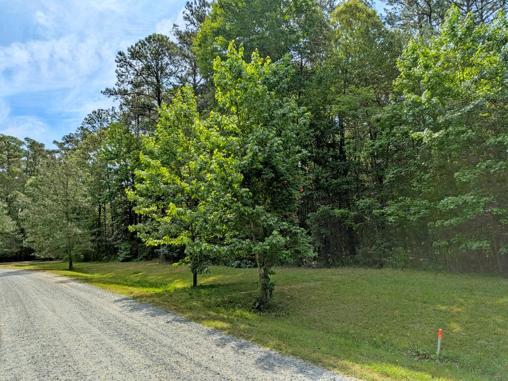 Image for 2.9 +/- Acre Waterfront Lot Near Kinsale VA
