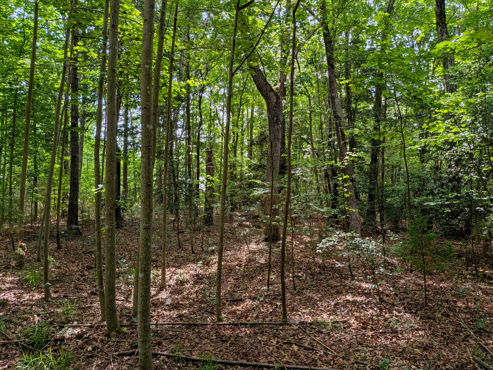 Image for 2.9 +/- Acre Waterfront Lot Near Kinsale VA