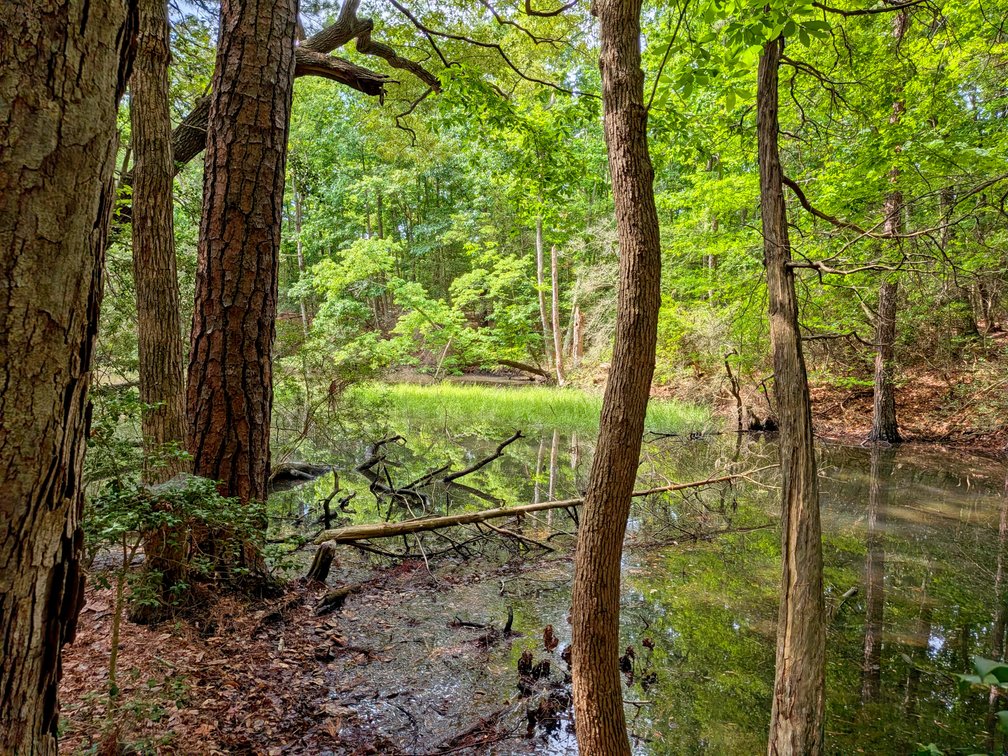 Image for 2.9 +/- Acre Waterfront Lot Near Kinsale VA