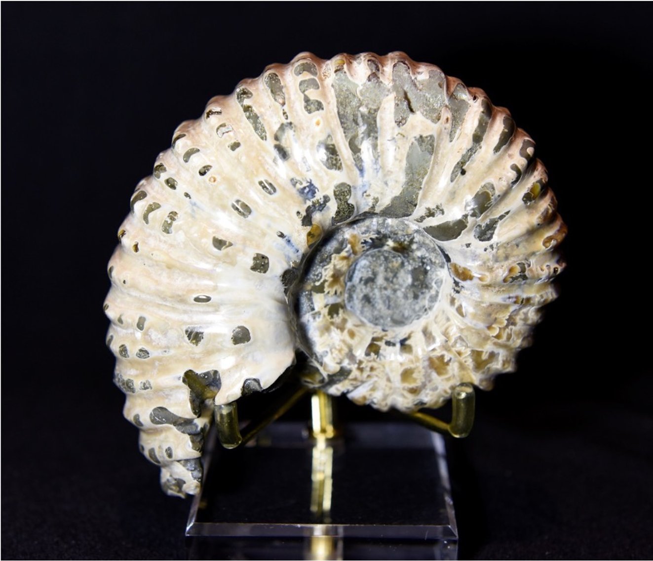 Image for Oklahoma Geological Foundation Rocks and Swing Fore STEM Silent Auction