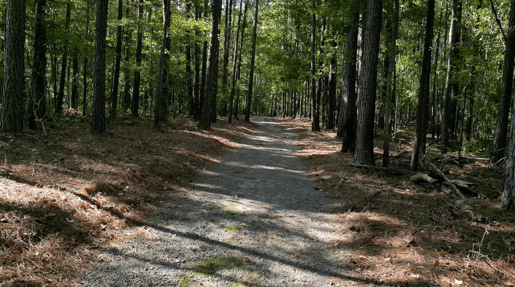Image for 