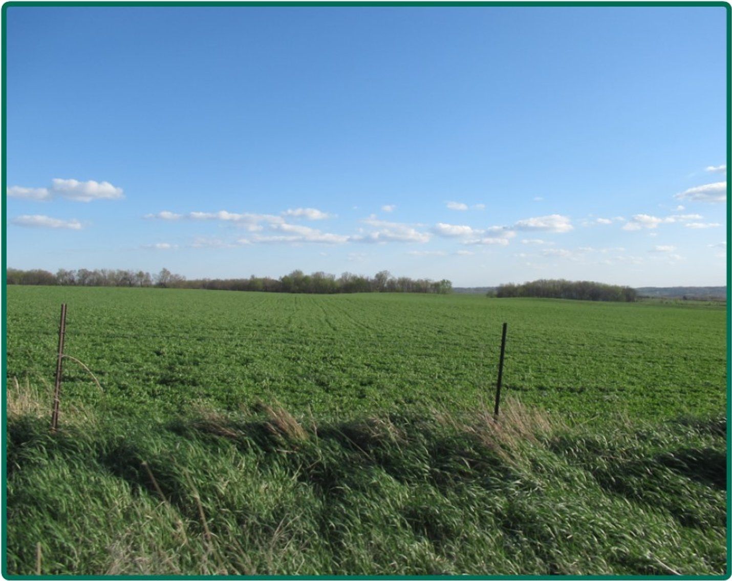 Image for Closed - Delaware Co., IA - 98.00 Ac., m/l (010-2835-03)