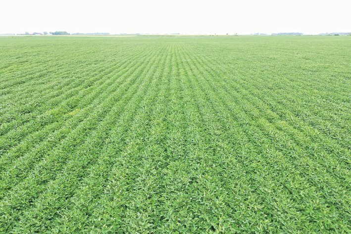 Image for Closed - Mower Co., MN - 73.37 Ac., m/l (020-0557-01)