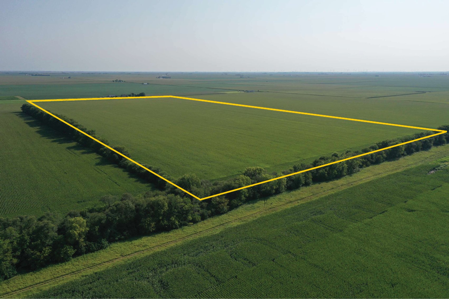 Image for Closed - DeWitt Co., IL - 78.75 Ac., m/l (030-0502-03)