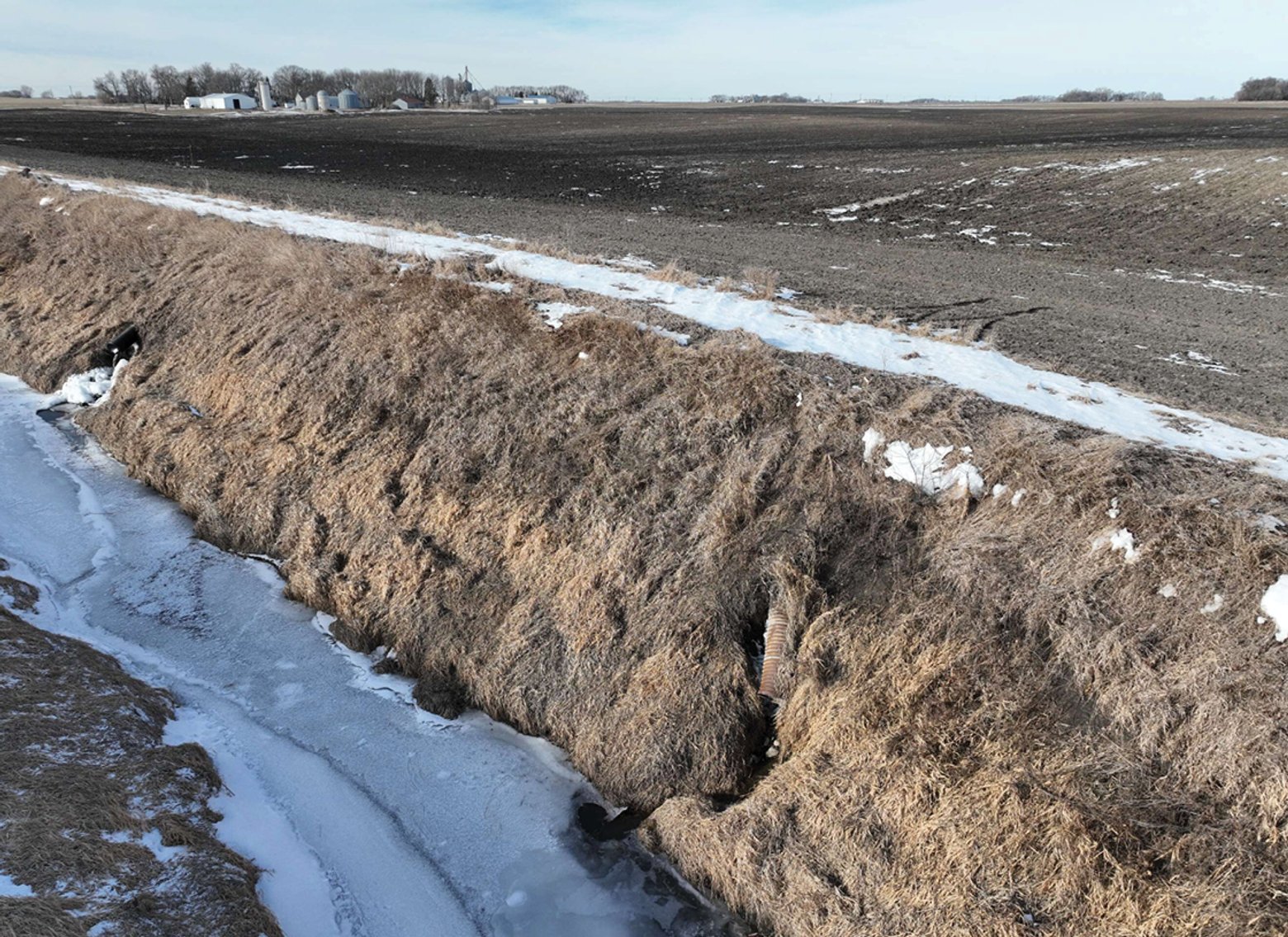 Image for Sale Pending - Sibley Co., MN - 79.13 Ac., m/l (190-0259-01)