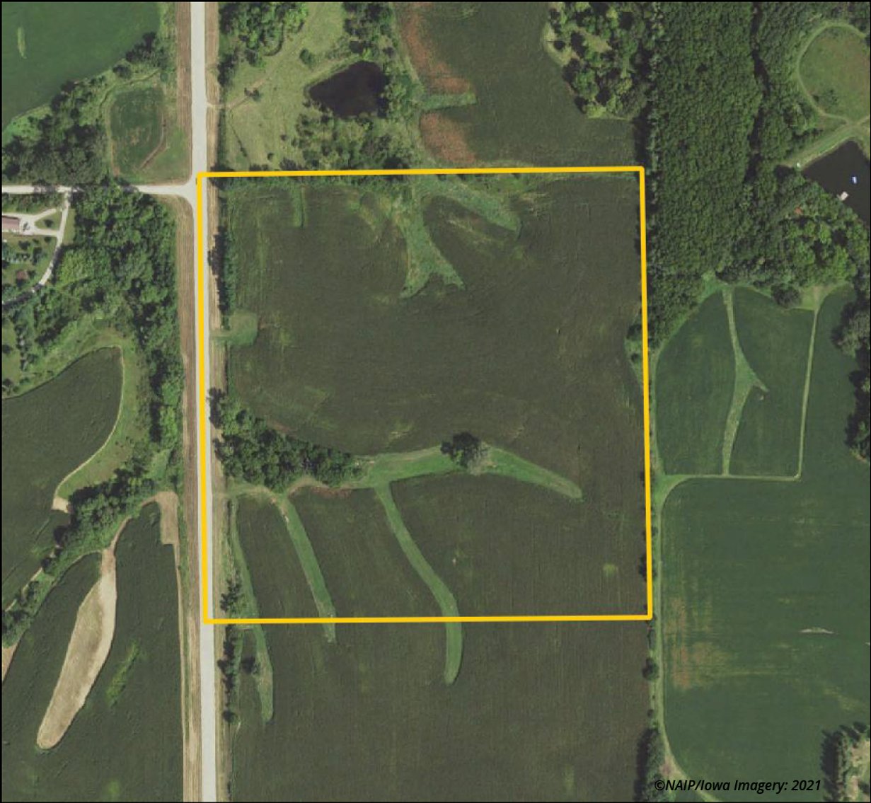 Image for Closed - Cedar Co., IA - 39.96 Ac., m/l (010-2955-01)