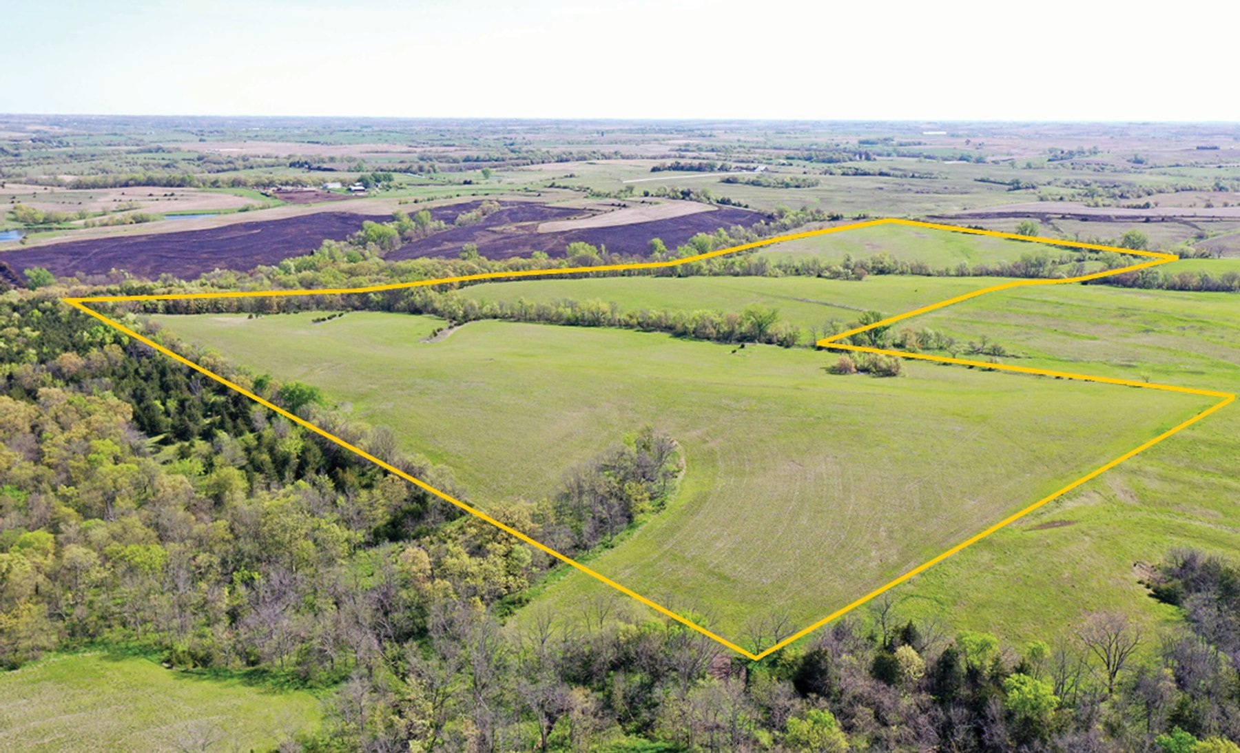Image for Closed - Taylor Co., IA - 78.38 Ac., ml (000-4102-03)