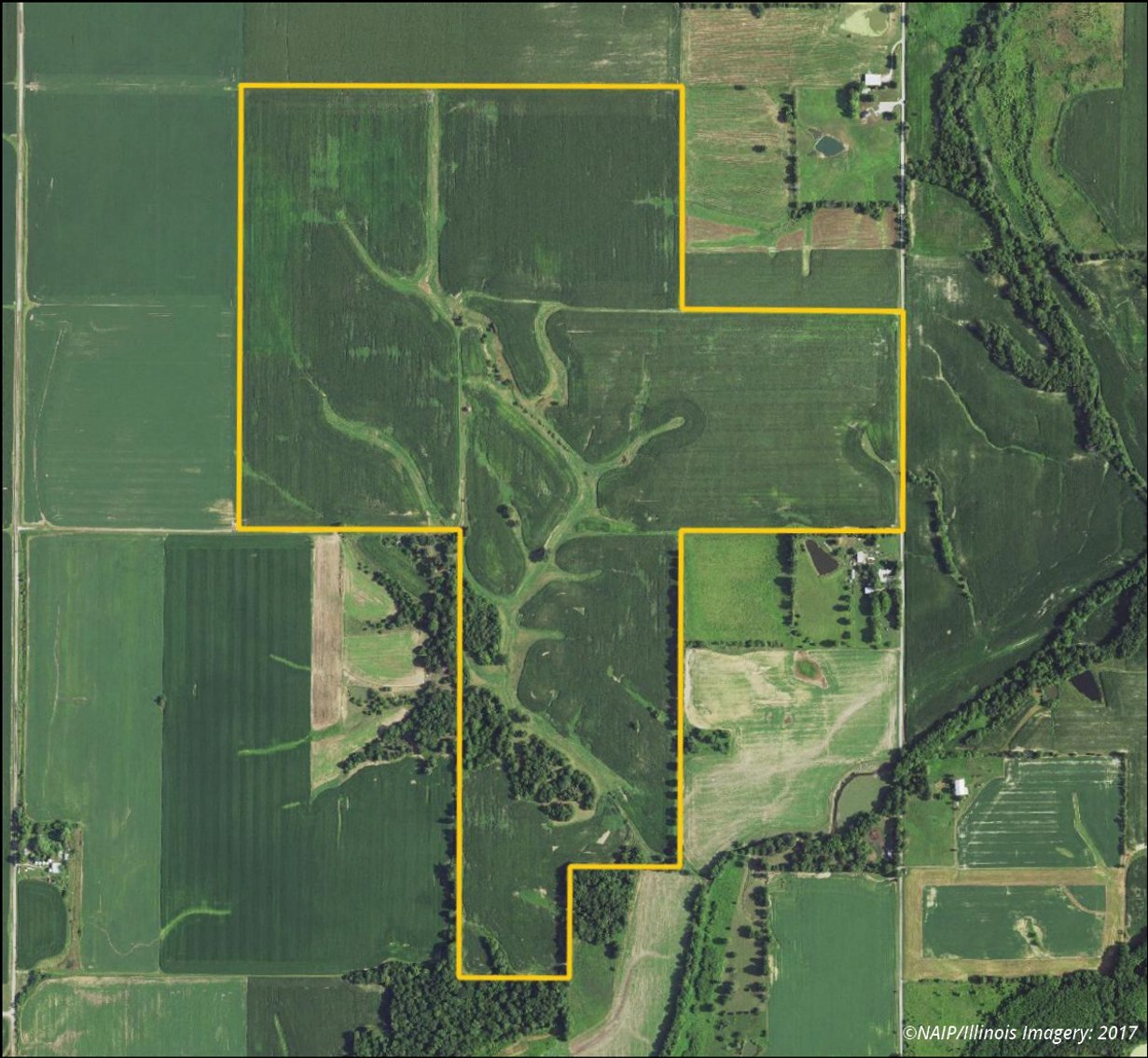 Image for Sale Pending - Macoupin Co., IL - 270.00 Ac., m/l (030-0500-01)