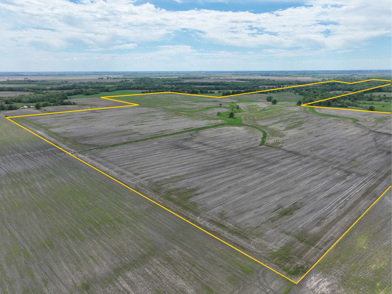 Image for Sale Pending - Macoupin Co., IL - 270.00 Ac., m/l (030-0500-01)