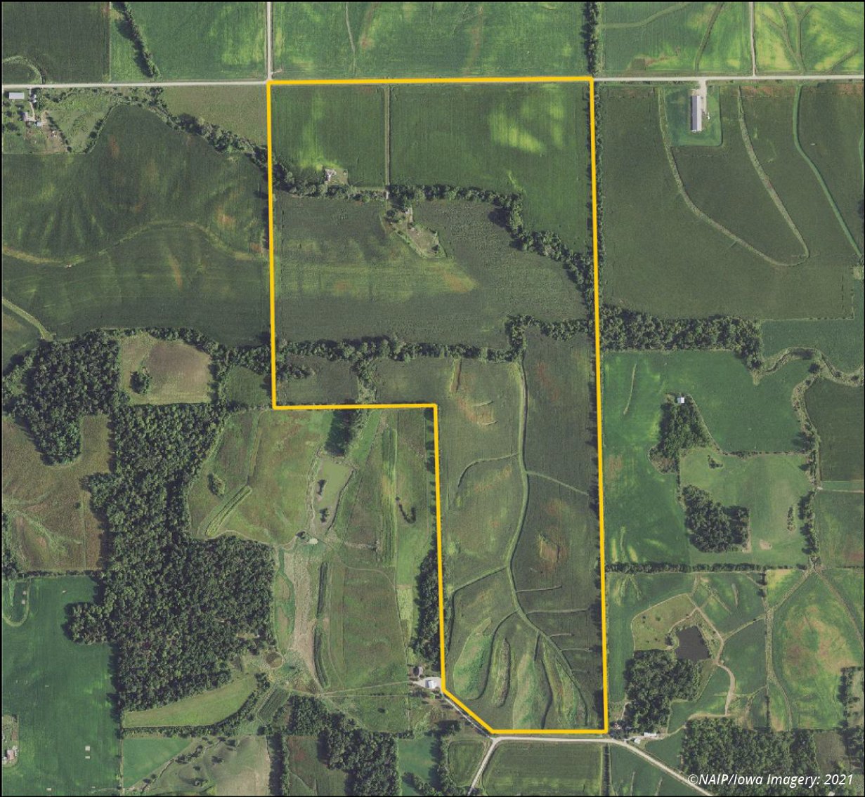 Image for Closed - Cedar Co., IA - 238.55 Ac., m/l (010-3071-01)