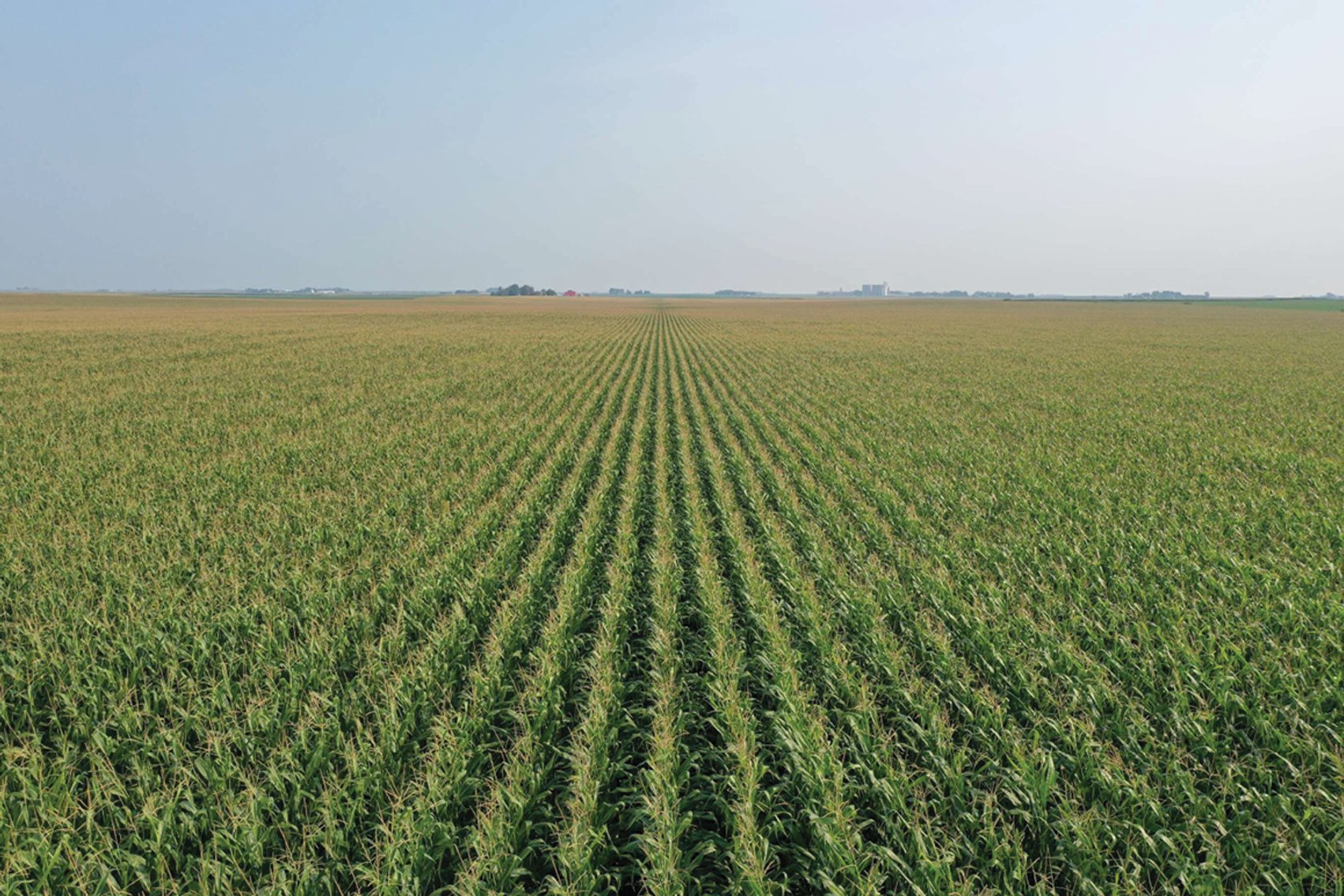 Image for Closed - Humboldt Co., IA - 154.00 Ac., m/l (040-0321-01)